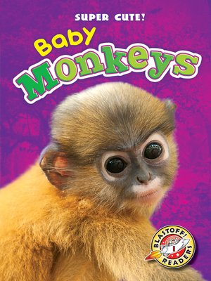 cover image of Baby Monkeys